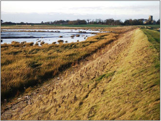 Figure 4: View of embankment (taken by Nigel Pontee, Halcrow)