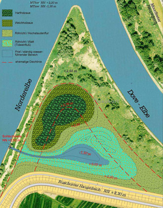 Figure 3 : Planned realignment and floodplain forest