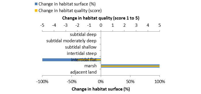 Figure 5: Ecosystem services analysis for Settlement of reed at the harbour location´Haken´: Indication of habitat surface and quality change, i.e. situation before versus after measure implementation.