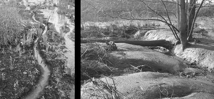 Figure 18. Topographic structures in the CRT. Left: new developed creek. Right: typical merlon-krenel topography (Maris et al.).