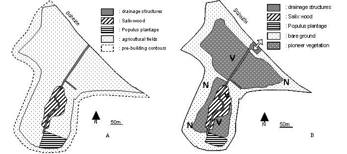 Figure 5. Schematic overview of the study site before (A) and after construction (B). Sampling locations with (“V”) and without (“nV”) initial vegetation are shown in B. The central creek is shown in grey