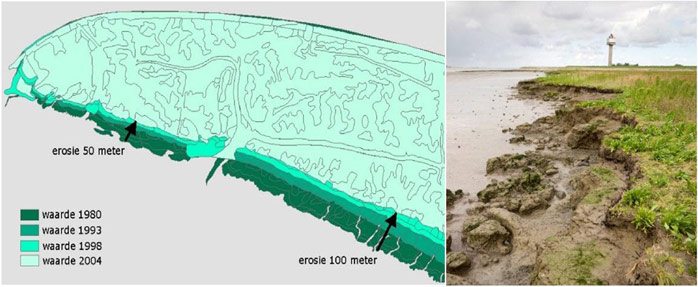 Figure 3. Illustration of the erosion on the mud flats and marsh near Waarde before the building of the groynes (van der Pluijm and de Jong 2008) 