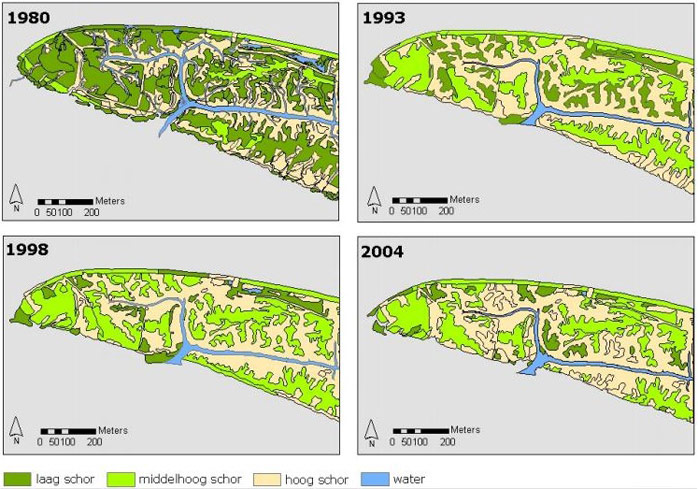 Figure 4. Evolution of the vegetation on the marsh near Waarde, 1980/1993/1998/2004 (van der Pluijm and de Jong 2008) 