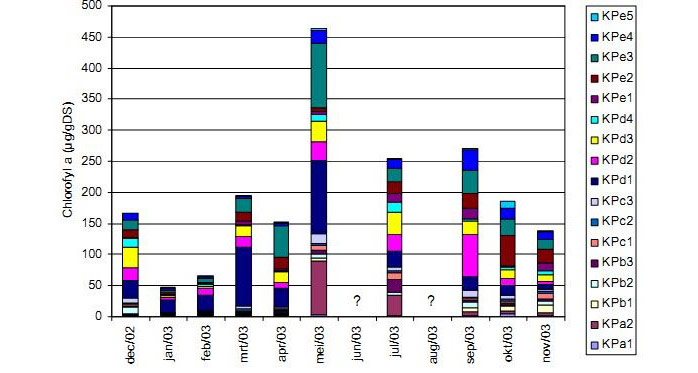 Figure 12. Chlorophyll a concentrations in the upper soil layer (0-1cm) per location at the Ketenisse marsh in the first year after the restoration work (?: no measurement) (Van den Neucker et al. 2007).