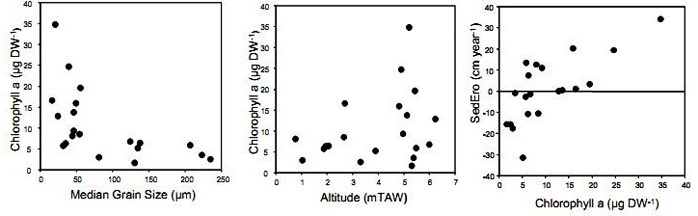 Figure 13. Relation between annual average chlorophyll a concentration and sediment median grain size, position above mean low water level and net sedimentation-erosion rates in 2003 (Van den Bergh 2005).