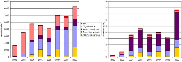 Figure 14. Average density (left) and average biomass (right) per specie and per year (Speybroeck et al. 2011).