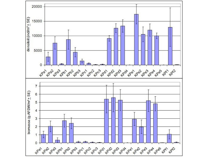 Figure 15. Density (up) and biomass (down) per location – overage over time 2002-2009 (vertical lines indicate the standard deviation) (Speybroeck et al. 2011).