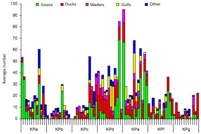 Figure 19. Average number per month for the different species groups on the restored part of Ketenisse, per zone (2003-2006) (Van den Neucker et al. 2007).