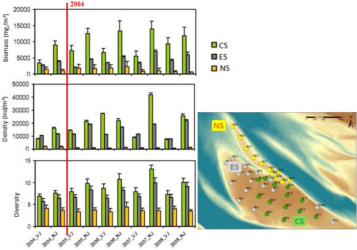 Figure 7. Spatial variation of intertidal macrobenthos. The coloured bars give the average value for biomass, density and diversity. The small black lines on top of the coloured bars represent the standard error. The vertical red line indicates the relocation test.<br>‘VJ’=spring, ‘NJ’=autumn, NS=northern spit, ES=edge of the sandbar, CS=central sandbar (van der Wal 2010)