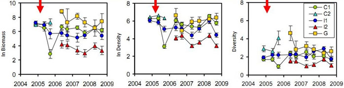 Figure 8. Trend in biomass, density and species richness of subtidal macrobenthos in the study area. The red arrows indicate the relocation test. (van der Wal 2010)