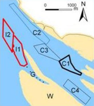 Figure 4. Study area: impact areas (I1 for relocation 2004