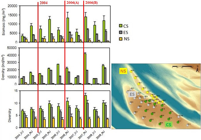 Figure 7. Spatial variation in biomass, density and diversity of intertidal macrobenthos. The coloured bars give the average value for biomass, density and diversity. The small black lines on top of the coloured bars represent the standard error. The vertical red lines indicate the relocation test of 2004 and phase A and B of the 2006 relocation test. ‘VJ’=spring, ‘NJ’=autumn, NS=northern spit, ES=edge of the sandbar, CS=central sandbar (van der Wal 2010)