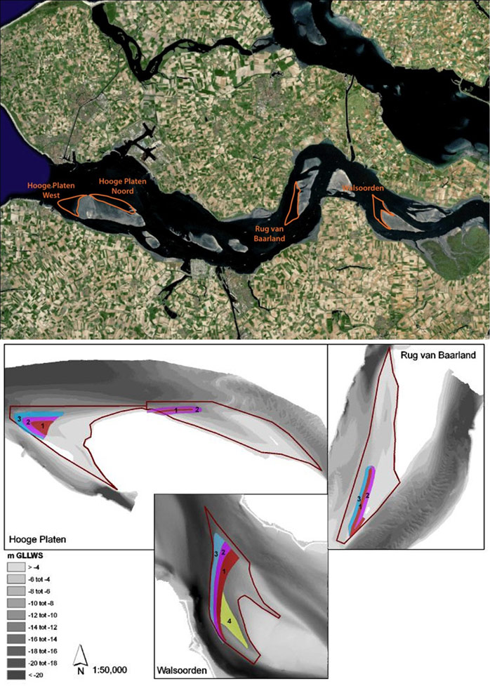 Figure 2. Site specific relocation strategies for the three sandbars: Hooge Platen (upper left), Rug van Baarland (upper right) and Walsoorden (under) (Plancke et al. 2010)