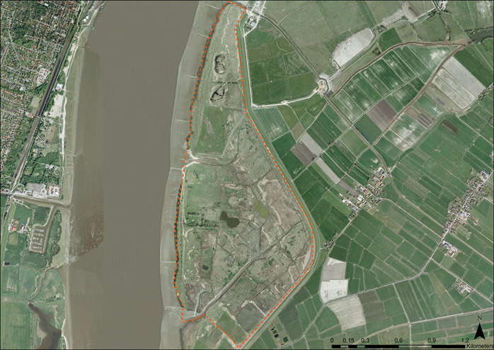 Figure 2: Aerial photograph of project area