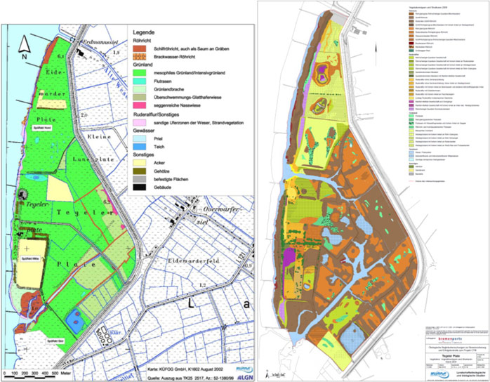 Figure 6: Structure diversity on the Tegeler Plate before (left) and after (right) measure implementation (TESCH WBLN, KÜFOG 2002