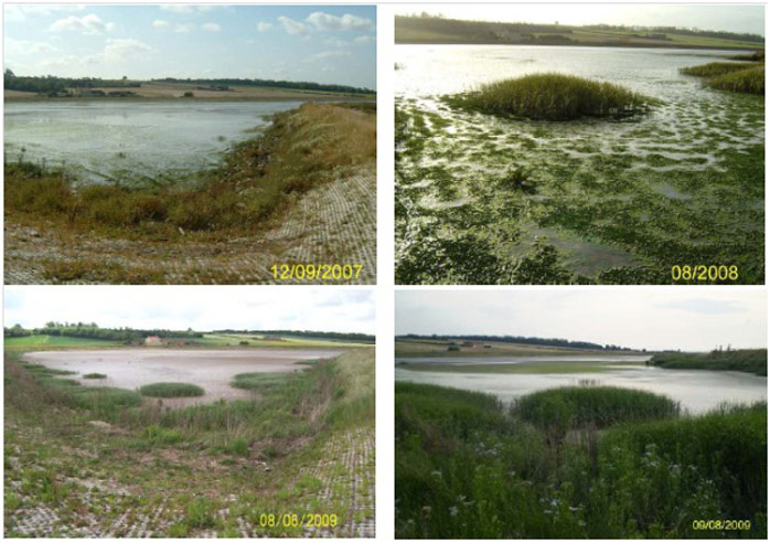 Figure 6: Marsh development in the eastern corner - 1 year on, 2 years on, and 3 years on (bottom pictures demonstrating difference two months can make, with sea aster in bloom in the bottom right picture) (taken by ABPmer, August 2010)