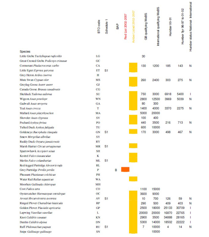 Table 3: Wintering birds in 2007