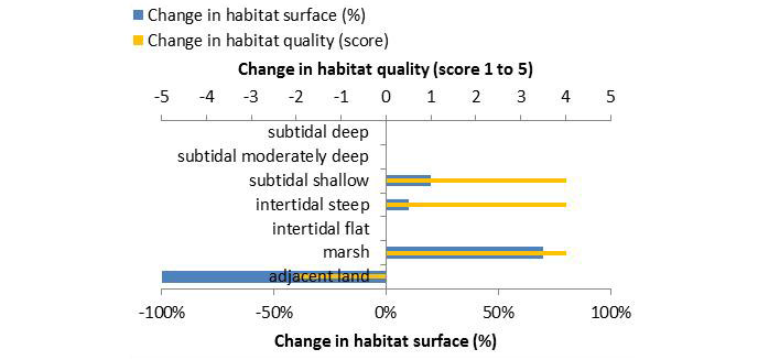 Figure 10: Ecosystem services analysis for measure ‚Shallow water area Kleinensieler Plate‘: Indication of habitat surface and quality change, i.e. situation before versus after measure implementation. 