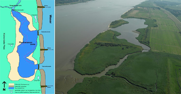 Figure 2, left: Overview on compensation measure ‚Shallow water zone Kleinensieler Plate‘ according to construction plans of the Water and Shipping Authority Bremerhaven (yellow = eulittoral of shallow water zone, brown = eulittoral of the lower Weser River, dark blue = shallow water zone)