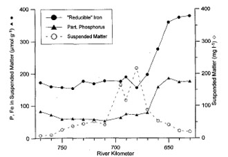 Fig. 3 Relationship of particulate phosphorus and Fe-oxyhydroxides, together with the salinity profile for the Elbe during a March sampling in 1995 (van Beusekom & Brockmann 1998)
