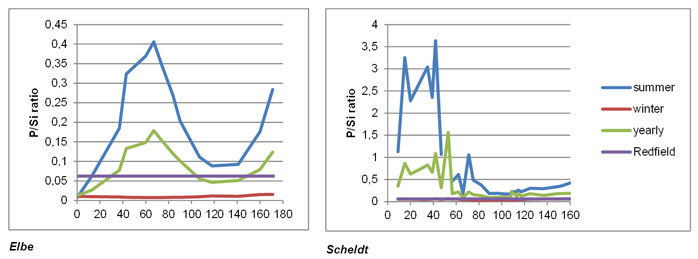 Fig. 54 Phosphorus silica molar ratios, calculated as phosphate divided by dissolved silica concentrations based upon a six-year average, represented for a yearly, summer and winter period for the Elbe and Scheldt. For the Humber and Weser to few data points were available to represent results in this way. Summer = June, July, August