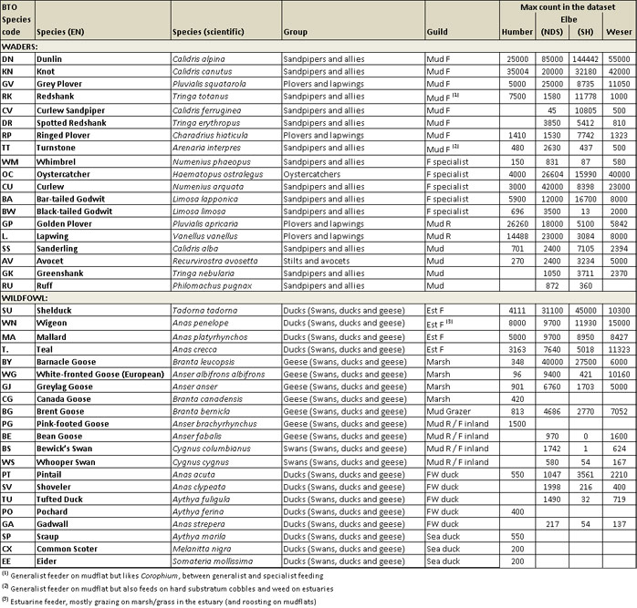 Table 2.  Bird species included in the analysed datasets from the Humber, Weser and Elbe (NDS=southern bank, SH=northern bank).  Max annual count (per counting unit/sector) in each estuarine dataset is reported (empty cells indicate species not included in the analysed dataset).  Species allocation to guilds is also indicated.