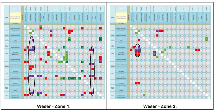 Figure 18a:  Main conflict scores for the Weser Estuary.