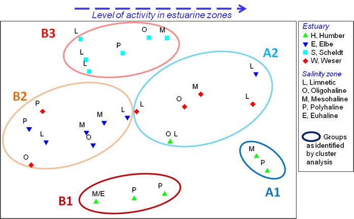 Figure 26:  MDS ordination of estuarine zones based on dominant estuarine activities.